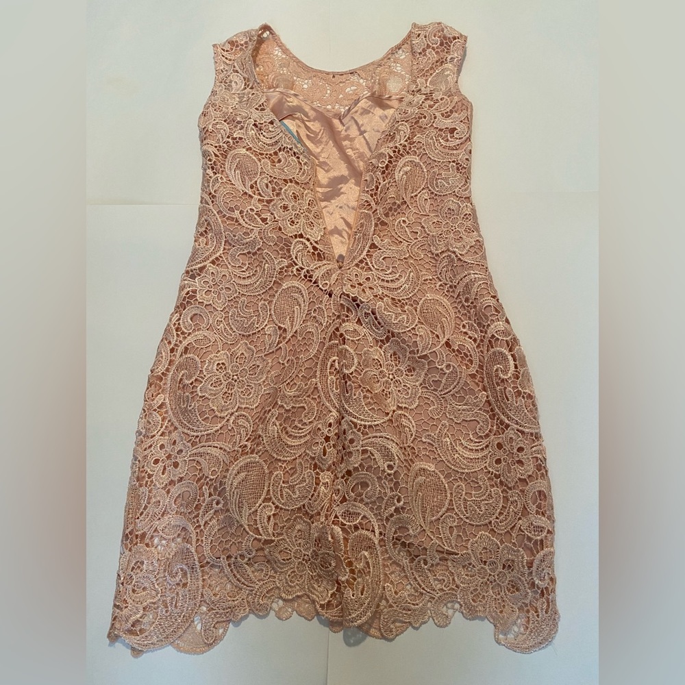 Pink Flower Embroidered A-line Sleeveless Mini Dress Size Small